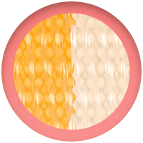 Miniatura 11